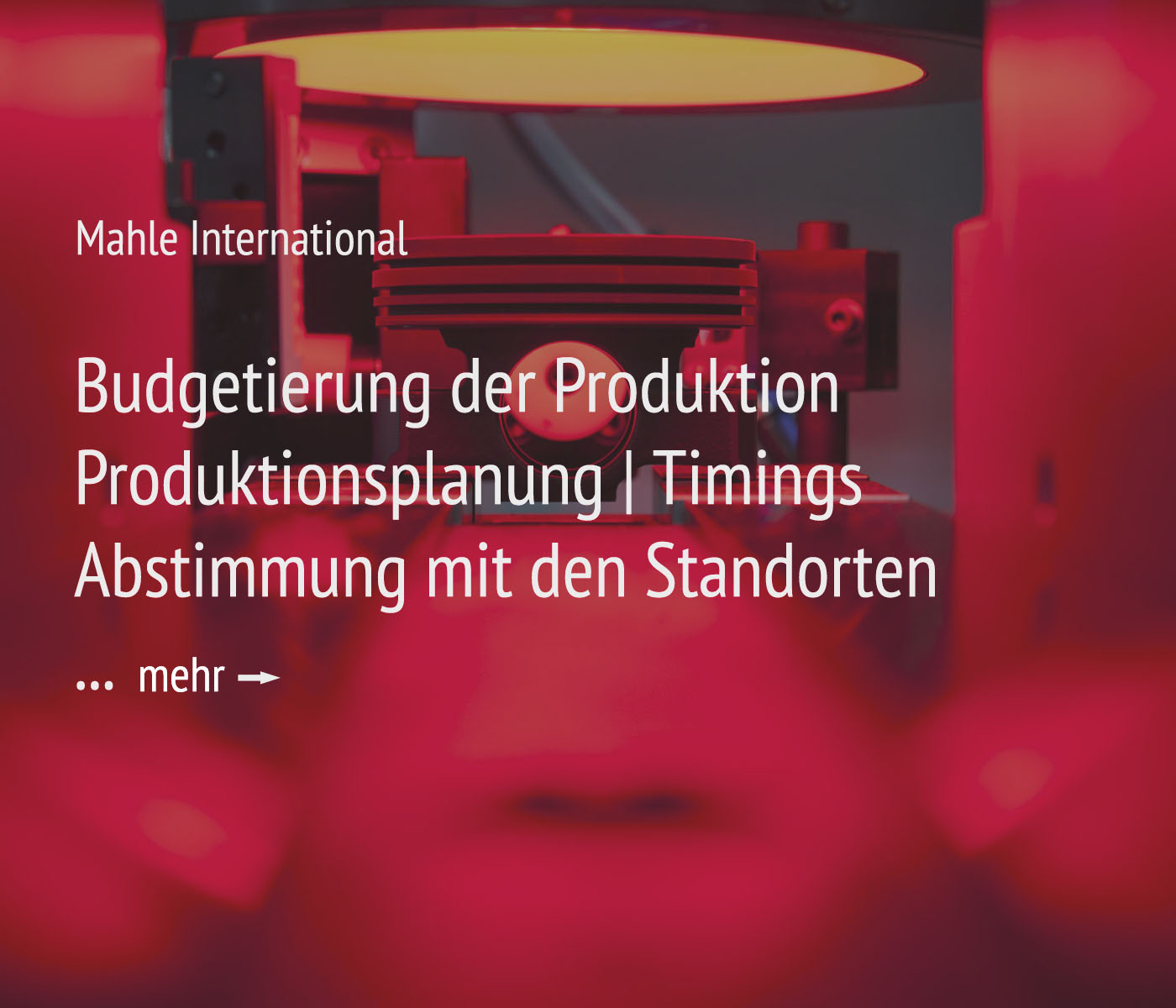 EXPOSE Conny Oelker Foto + Video | Projektmangement & Organisation | Projekt MAHLE International | Budgetierung der Produktion | Produktionsplanung | Timings | Abstimmung mit den Standorten